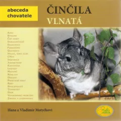Činčila vlnatá