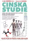 Čínská studie
