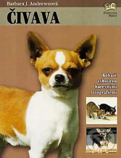 Čivava