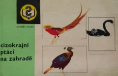 Cizokrajní ptáci na zahradě