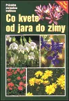 Co kvete od jara do zimy
