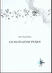 Co nutí létat ptáky