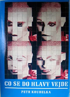 Co se do hlavy vejde