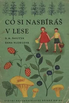 Co si nasbíráš v lese