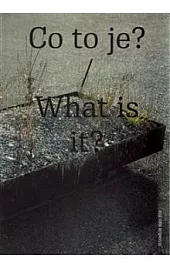 Co to je? / What is it: Designblok Book 2016