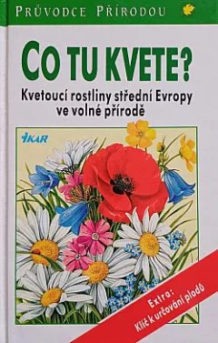Co tu kvete?