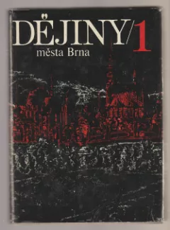 Dějiny města Brna 1