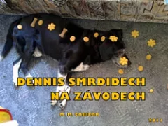 Dennis Smrdidech na závodech
