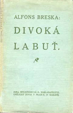 Divoká labuť