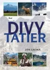 Divy Tatier