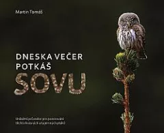 Dneska večer potkáš sovu
