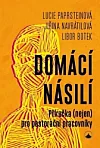 Domácí násilí