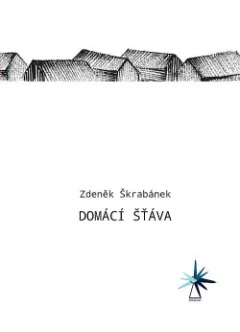 Domácí šťáva