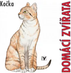 Domácí zvířata