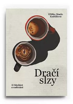 Dračí slzy: O hledání a nalézání