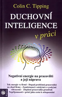 Duchovní inteligence v práci