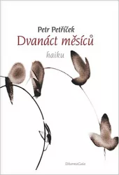 Dvanáct měsíců: 108 haiku