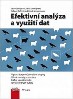 Efektivní analýza a využití dat