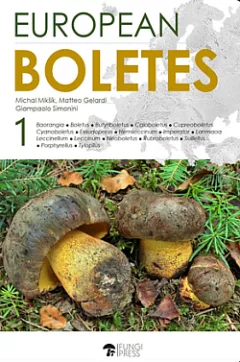 European Boletes I.