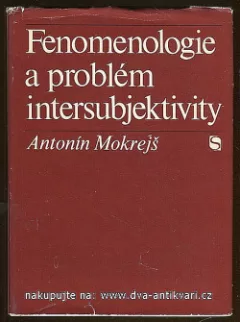Fenomenologie a problém intersubjektivity