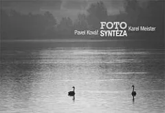 Fotosyntéza