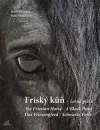 Fríský kůň - černá perla
