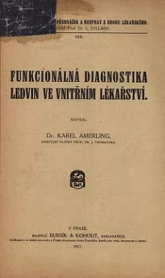 Funkcionálná diagnostika ledvin ve vnitřním lékařství