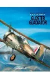 Gloster Gladiator
