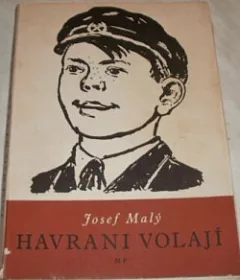 Havrani volají