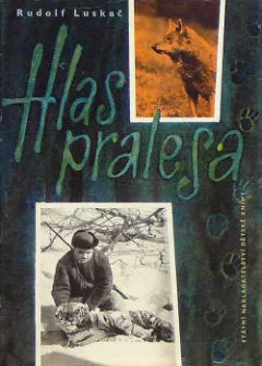 Hlas pralesa