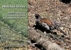 Hlucháň hôrny – Lesný operenec s nadprirodzenou pózou počas tokania