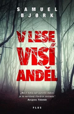V lese visí anděl