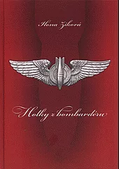 Holky z bombardéru