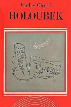 Holoubek