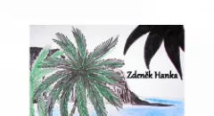 Horečka ostrova Zang