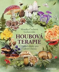 Houbová terapie