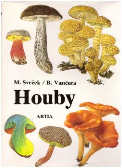 Houby