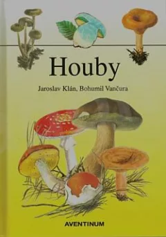 Houby