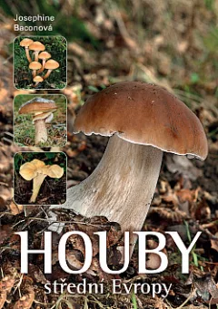 Houby střední Evropy