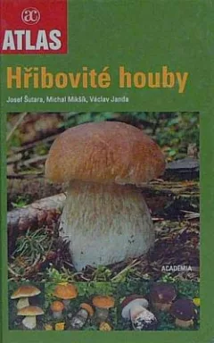 Hřibovité houby