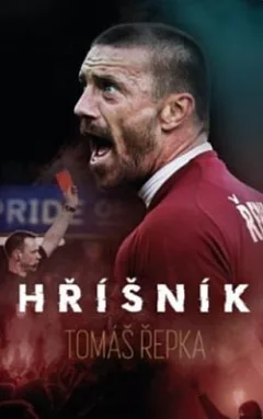 Hříšník