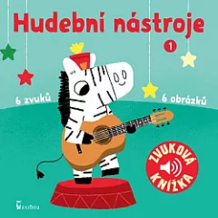 Hudební nástroje 1