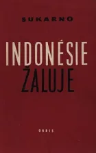 Indonésie žaluje: Sborník statí a projevů
