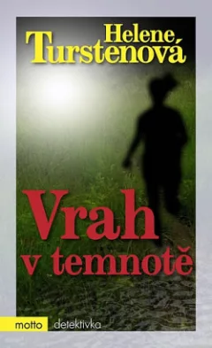 Vrah v temnotě