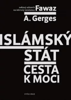 Islámský stát: Cesta k moci