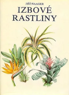 Izbové rastliny