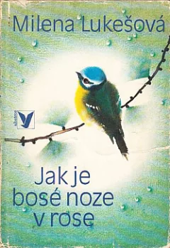Jak je bosé noze v rose