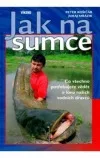 Jak na sumce