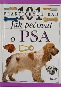 Jak pečovat o psa