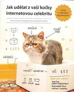 Jak udělat z vaší kočky internetovou celebritu